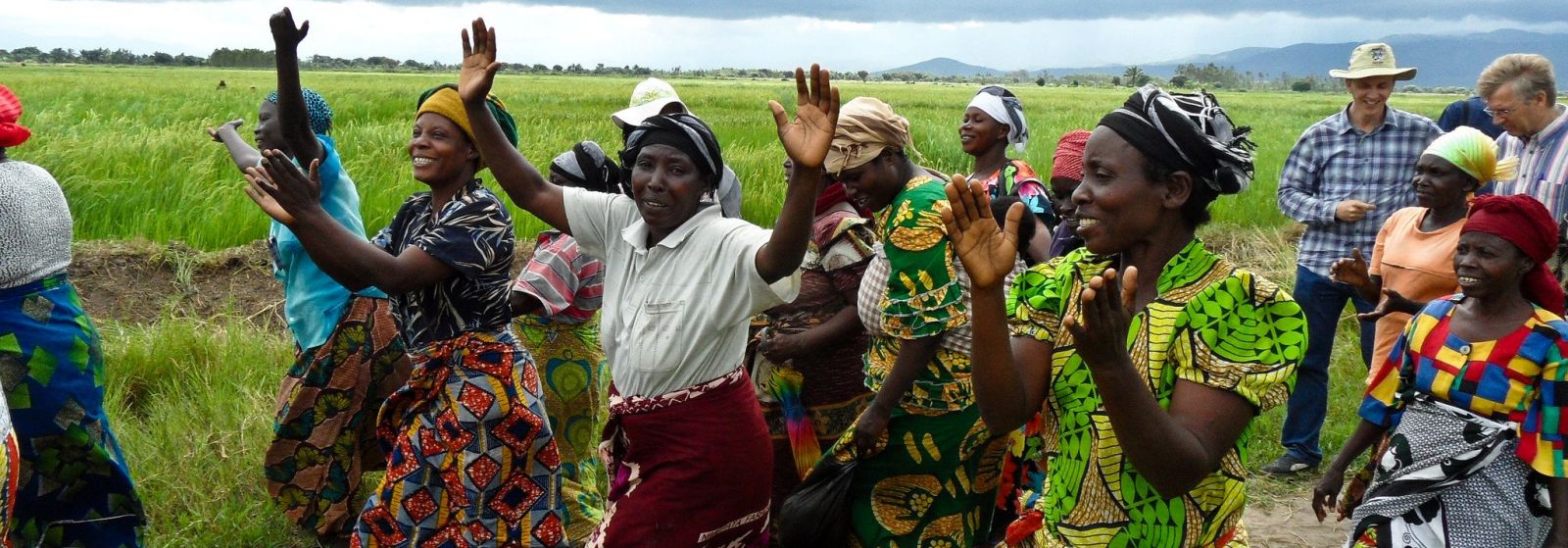 En-tête principal du site